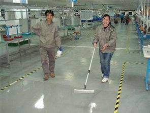 上海楊浦機房保潔與室內保潔服務專家 選擇物美，享受專業、放心的潔凈體驗